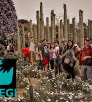 Atzegi - PAZKO ASTEKO PARTE HARTUZEKO OPORRALDIEN INFORMAZIOA