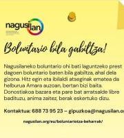 Nagusilanen Boluntario Bila Gabiltza