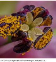 Erakusketa: FOTCIENCIA20