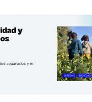 Ikastaroa: Haur migratzaileak eta giza eskubideak