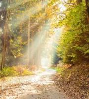 Caritas Gipuzkoaren 2024-2025 Ikasturtea