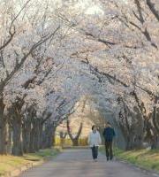 Tailera: Gaixotasuna aurrez aurre