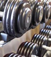 Gipuzkoako Gorren Kirol Jarduerak