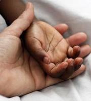 Adopzioari buruzko informazio saioak