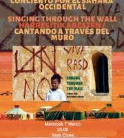 Emeki Elkartearen Elkartasun Kontzertua