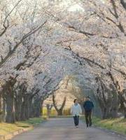 Tailera: Gaixotasuna aurrez aurre