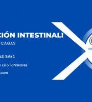 ACCU Gipuzkoa - Jardunaldia