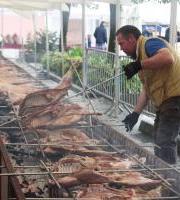 Aspanogi Elkartea - Ordiziako artzai egunean