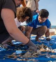 Ibai garbiketa. Colillatón Tolosa