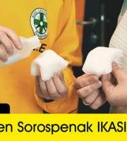 Ikastaroa: Lehen Sorospenak