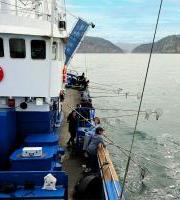 Itsas Hondakin Arrantza