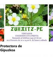 Gipuzkoako Animaliak Eta Landareak Babesteko Elkartea