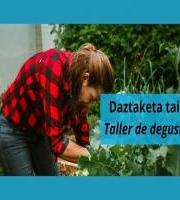 Dastaketa tailerra