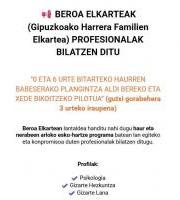 Beroa Elkartean profesionalak behar dituzte