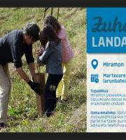 Zuhaitz Landaketa