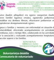 Juneren Hegoak elkartearen Boluntariotza deialdia
