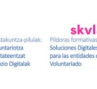 Prestakuntza-pilulak: Boluntariotza Entitateentzat Soluzio Digitalak