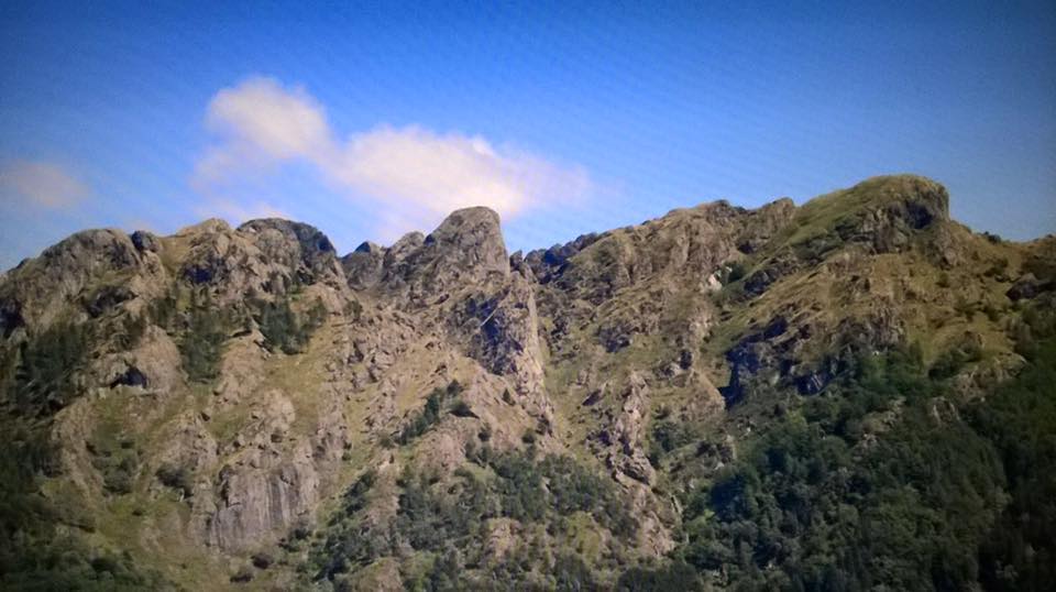 14021630_939141866196987_7680771668997598742_n