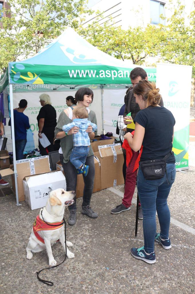 14435053_1500435076636906_8717436937595422761_o