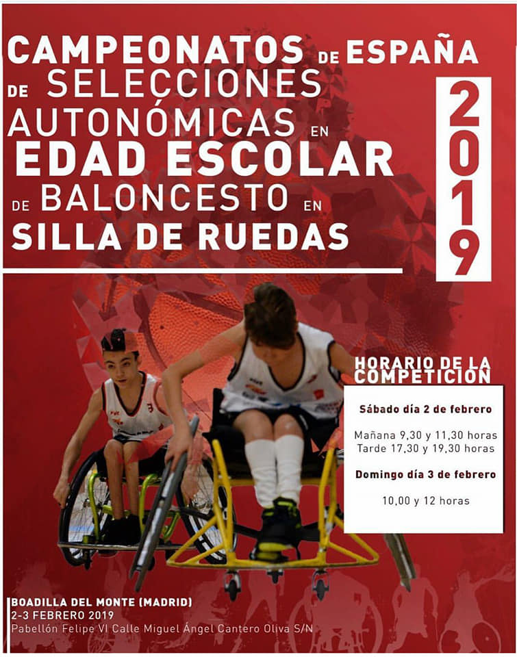 51091667_2265601077020678_968287534930984960_n