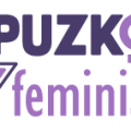 Gipuzkoa Feminista