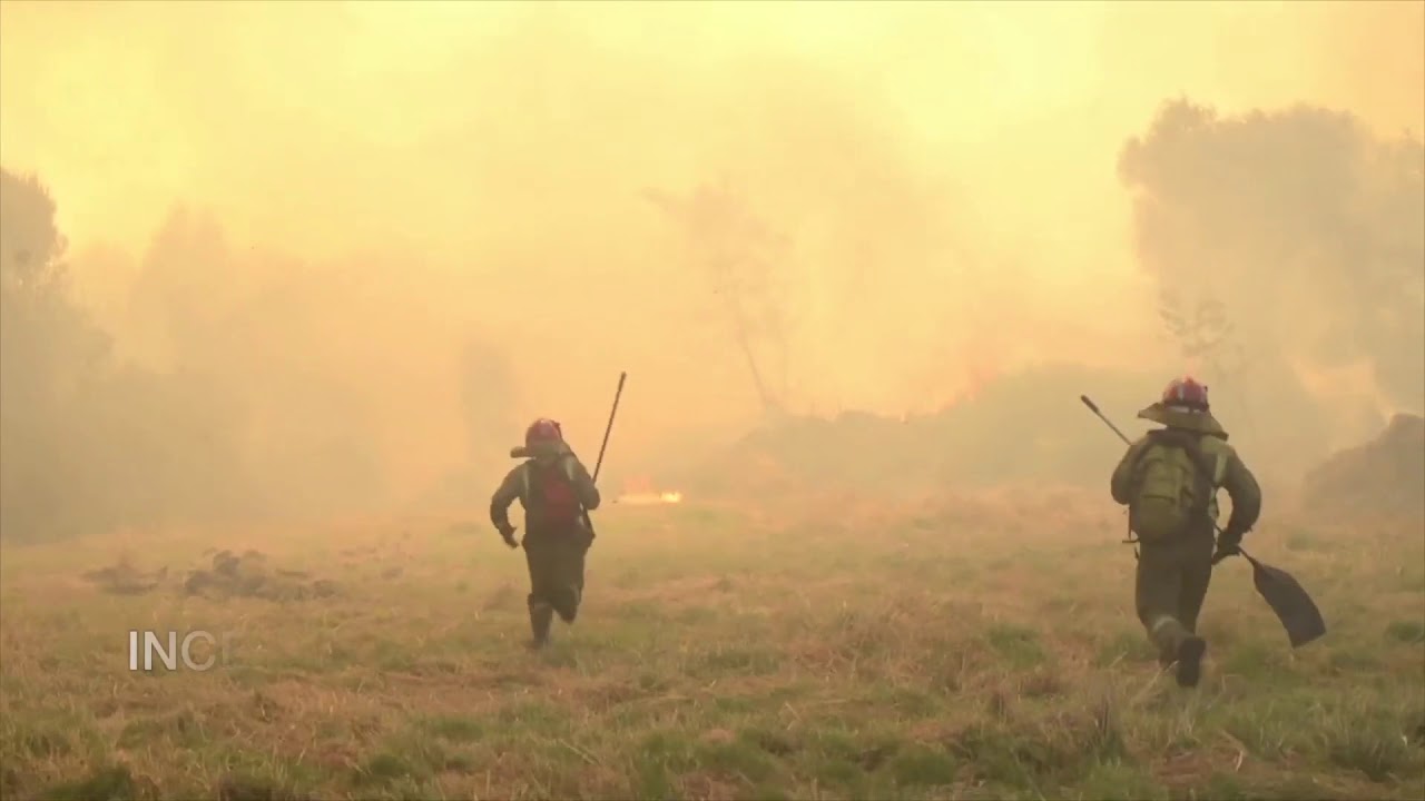 El impacto del cambio climático en España. Informe Greenpeace 2018