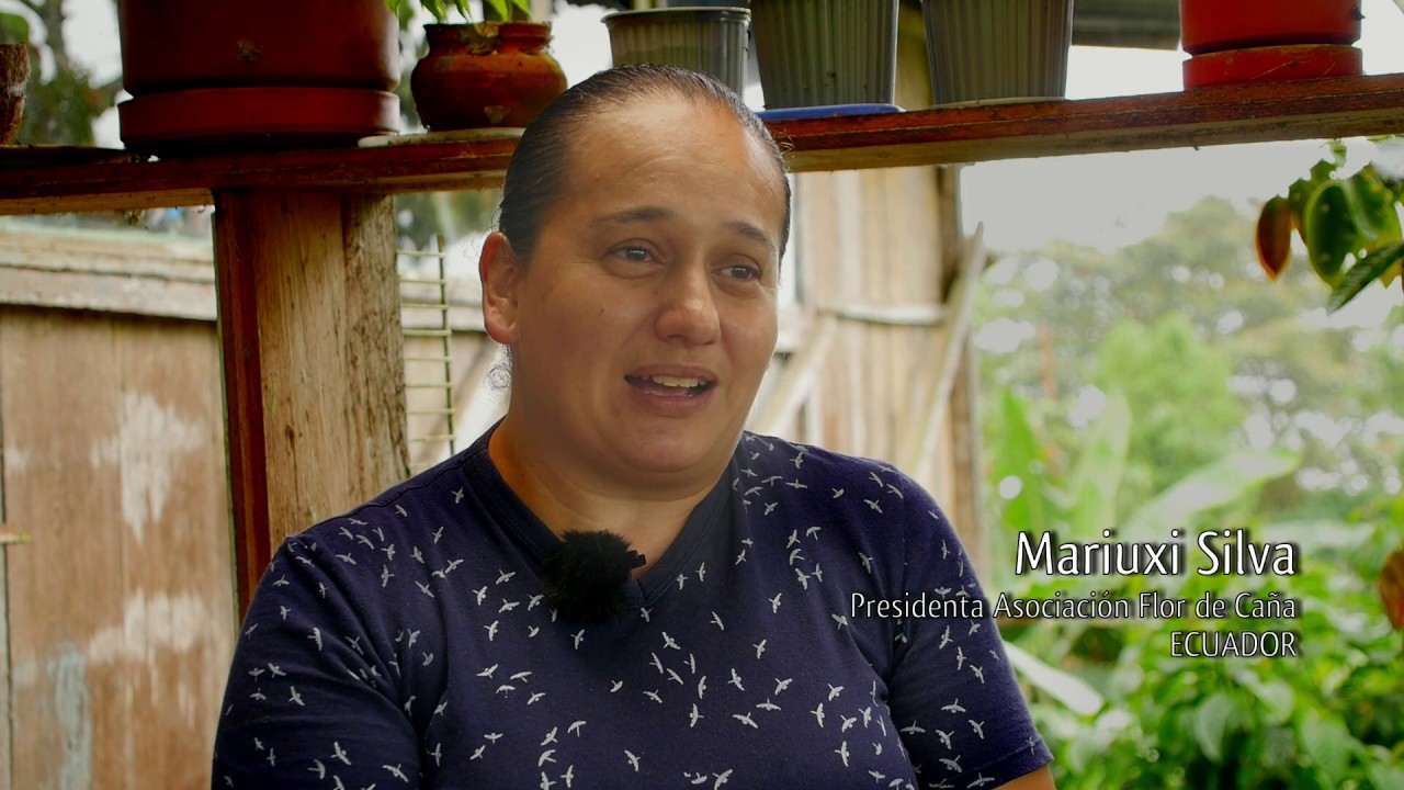 El viaje del azúcar. Un viaje por la cadena de custodia del azúcar de Comercio Justo.