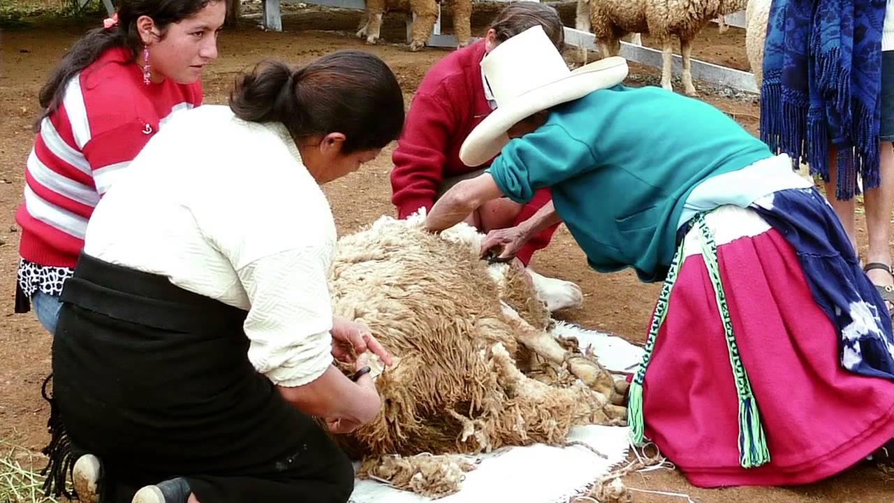 Prosalus, ONG de cooperación que defiende el derecho a la salud, a la alimentación y al agua.