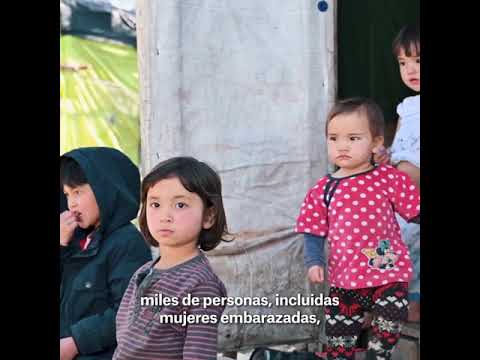 Islas griegas: los turistas vuelven a la normalidad pero los migrantes siguen confinados