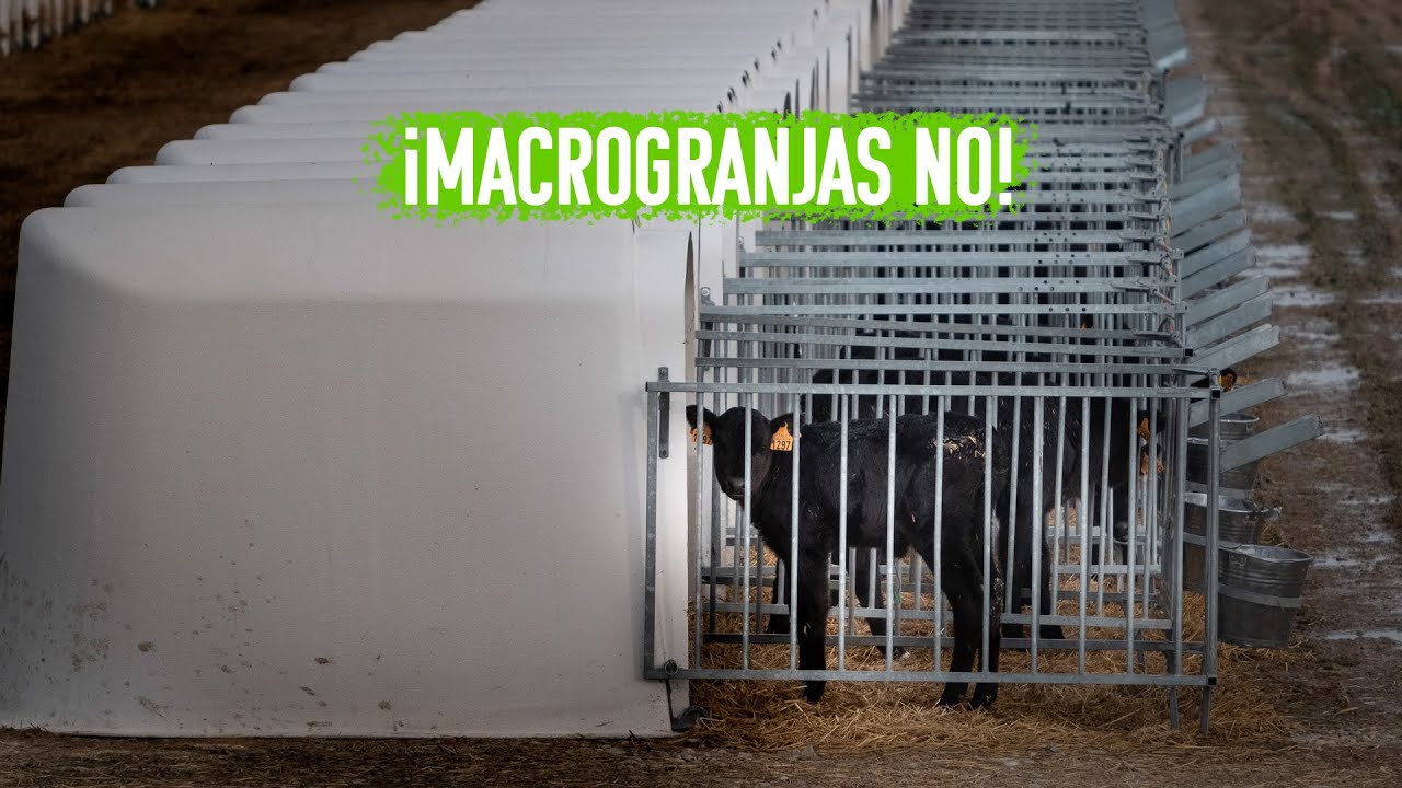 ¡Macrogranjas NO! Ni en Caparroso, ni en Noviercas, ni en ningún sitio