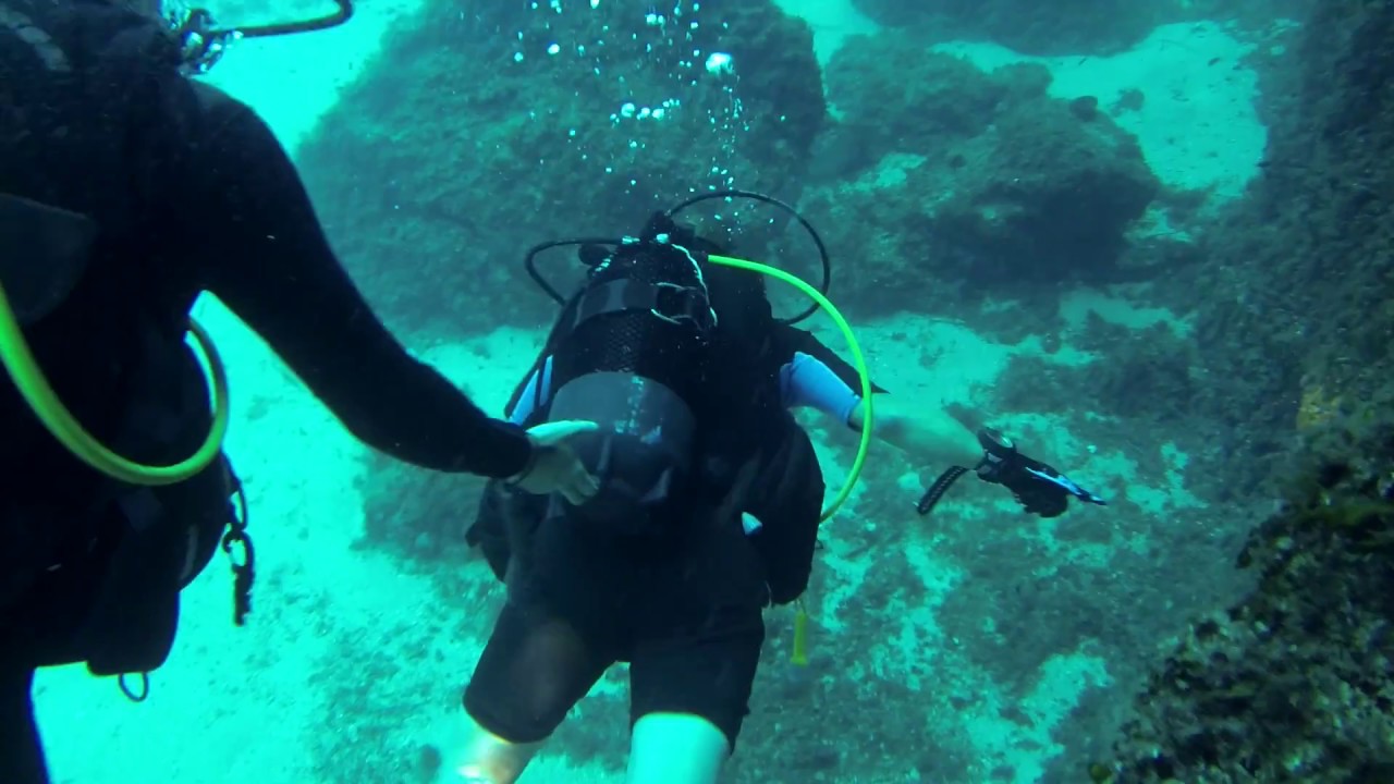 Sensaciones del  buceo adaptado