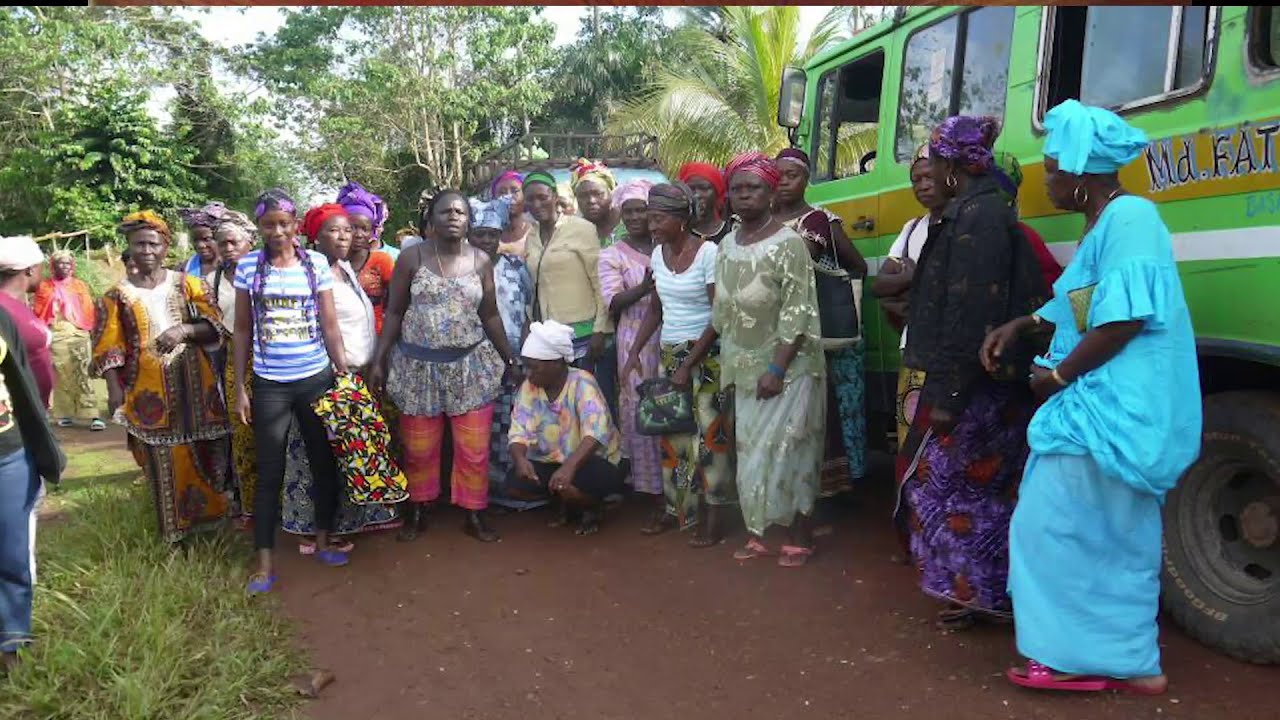 Violencia y abuso sexual contra las mujeres en las plantaciones industriales de palma aceitera
