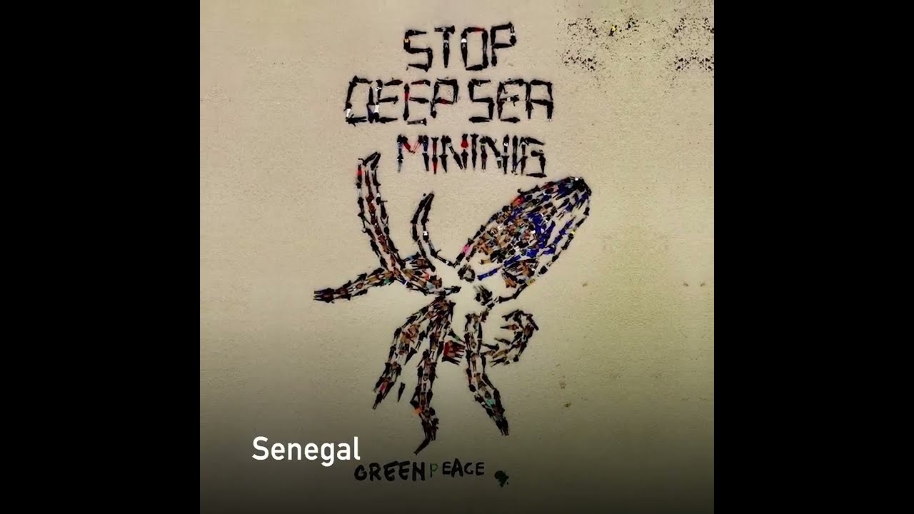 Día de los Océanos: ¡nos movilizamos!